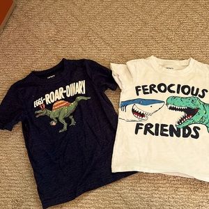 2 Toddler Boy Dinosaur tees. 4T/5T.